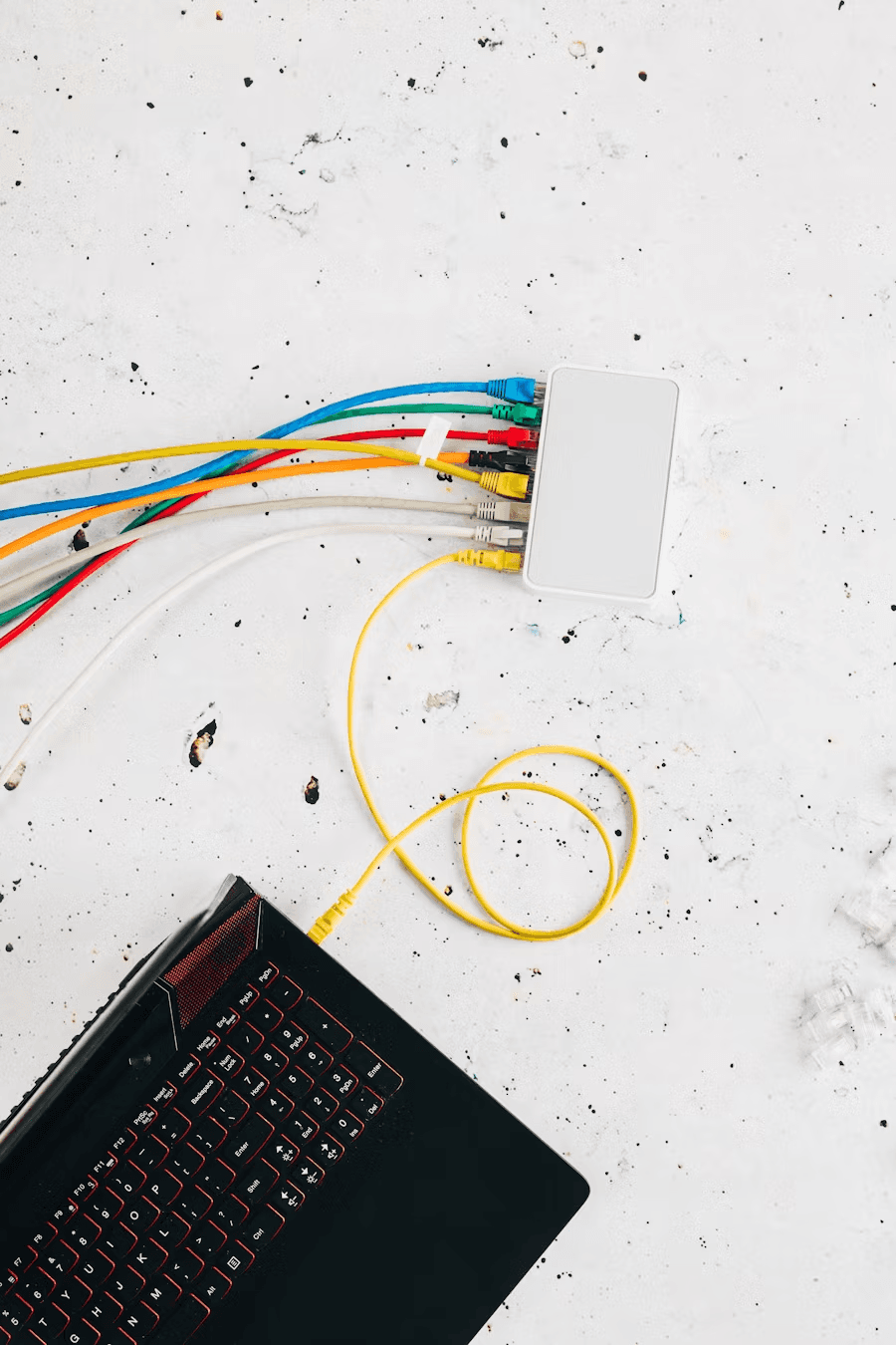 Популярні курси серед студентів | Unity Skills