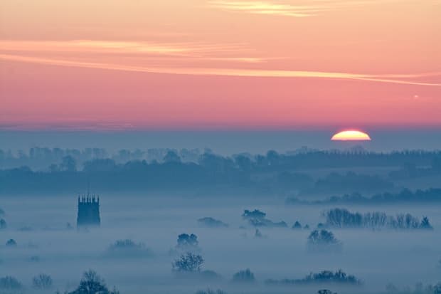 Популярні курси серед студентів