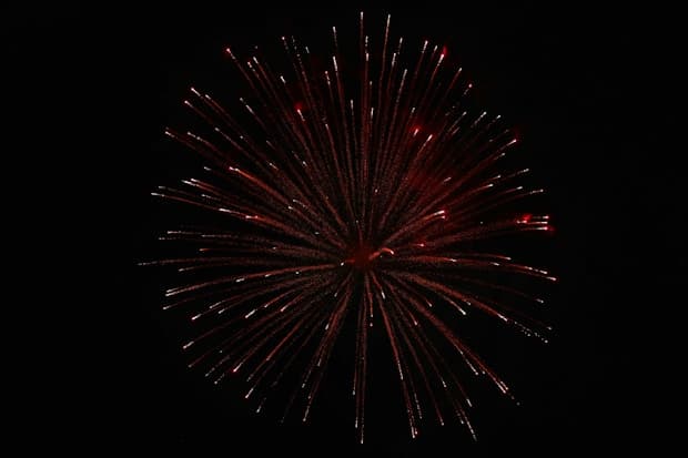 Популярні курси серед студентів