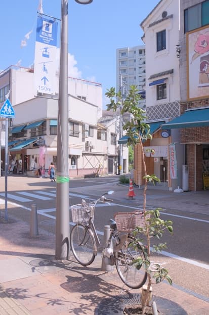 Популярні курси серед студентів