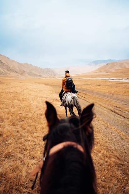Популярні курси серед студентів