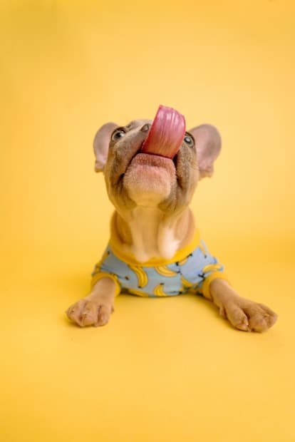 Популярні курси серед студентів