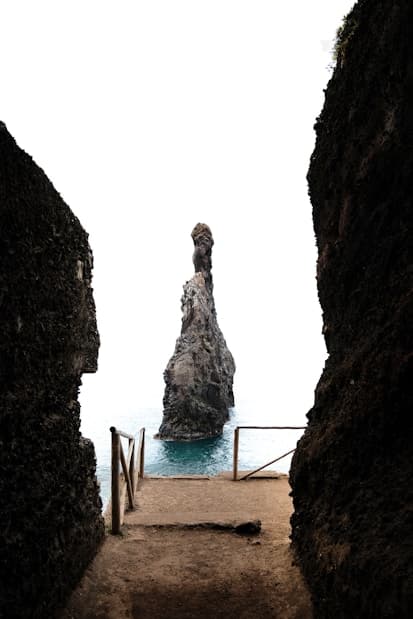 Популярні курси серед студентів